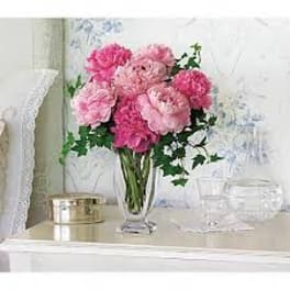 Pink carnations arranged in a clear glass vase
