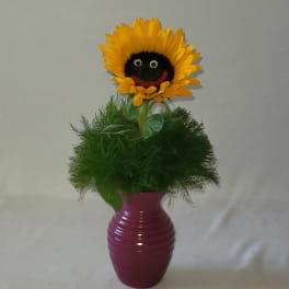 Sunflower Surprise
