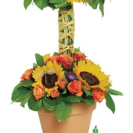 Dragonfly Sunflowers