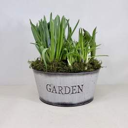 Seasonal Bulb Garden