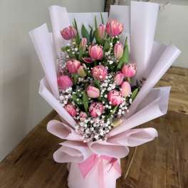 pink tulip dreams