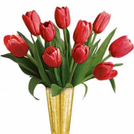 Red tulips arranged in a gold vase