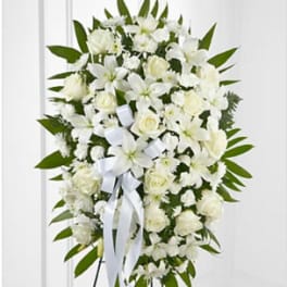 White Tribute Spray