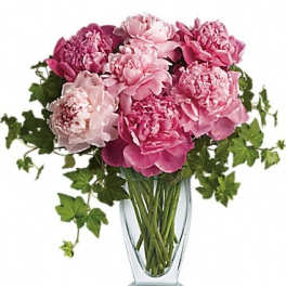 Pink peonies arranged in a clear glass vase