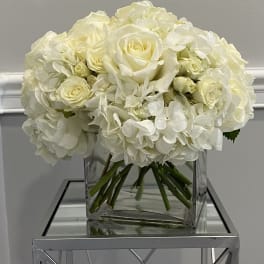 Hydrangea Me Lovely