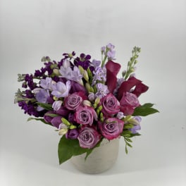 Purple Rain