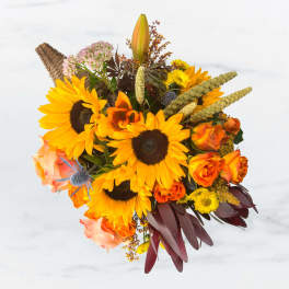 Cornucopia Utopia by BloomNation™