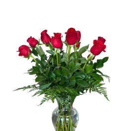 Long Steamed Dozen Roses