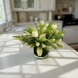White tulips arranged in a clear glass vase on a kitchen counter