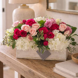 Expressions of Pink