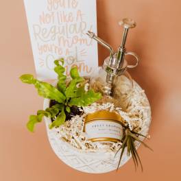 Plant Lover Gift Box