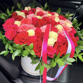 XXL Box Roses