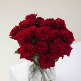 The Show Stopper (48 Roses)