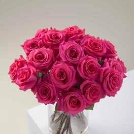 The Statement (24 Roses)