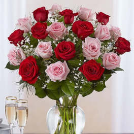 Volcano of roses