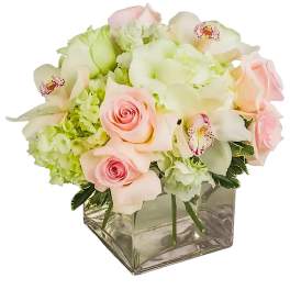 Elegant by BloomNation™