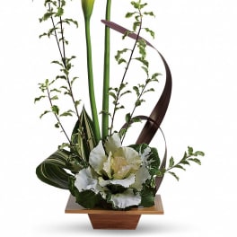 Tall modern arrangement with white calla lilies and ornamental cabbage in a low wooden container