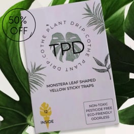 Package of monstera-shaped yellow sticky traps on large green leaves