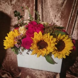 Box of Sunshine