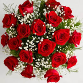 Timeless Romance™ Long-Stem Red Roses — Bouquet Only