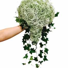 Cascade bouquet of white baby's breath with trailing ivy