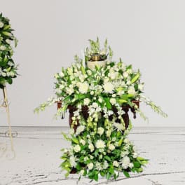 Celebration of Life