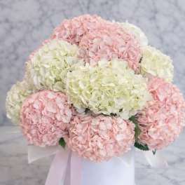 Blush Marble Elegance