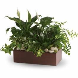 Teleflora's Quiet Expressions