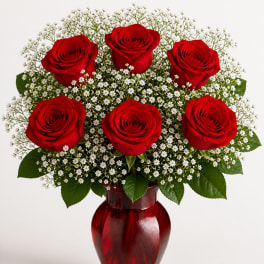 Half a Dozen Red Roses in a Red Vase