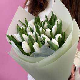 White Tulip Whisper. The photo shows the standard size.