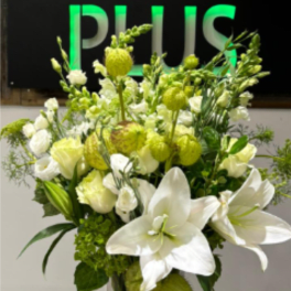 BP26 - Natural White Bloom