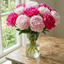 Peony Blush Elegance