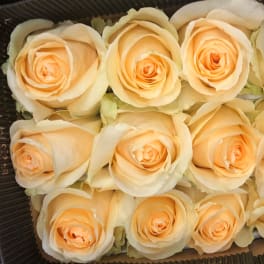 Box of pale peach roses arranged tightly together