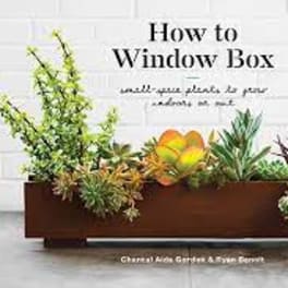 Succulent arrangement in a rectangular planter with a tall flowering branch