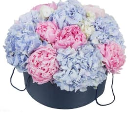 Scents Of Summer