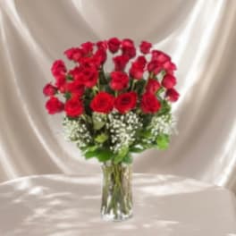 Red roses arranged in a clear glass vase with white filler flowers.