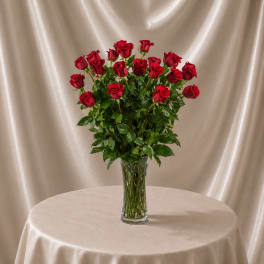 Two Dozen Long Stemmed Red Roses