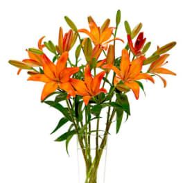 Tall arrangement of orange lilies in a clear glass vase
