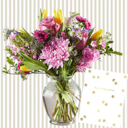 Dog Mom Card Bundle
