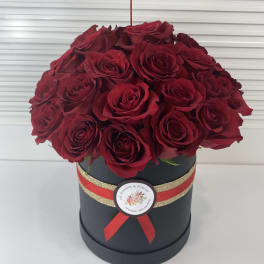 My Love - Beverly Hills