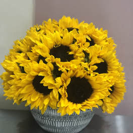Sunshine