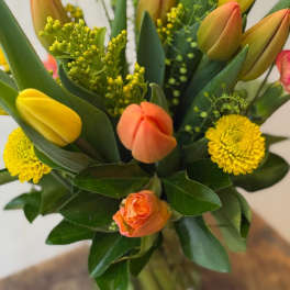 Petite Tulip