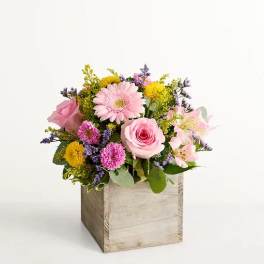 Spring Sentiment