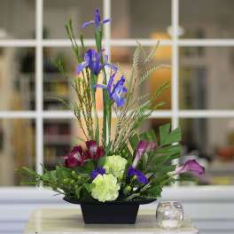 Abundant Spring