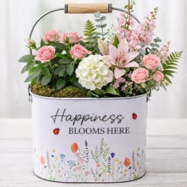 Blooming Love