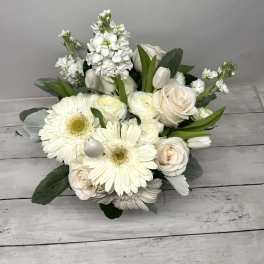Purity by BloomNation™
