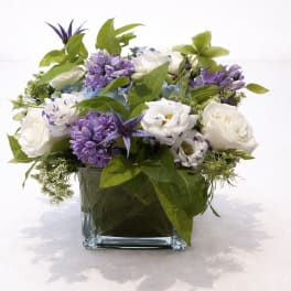 Lavender Garden Whisper