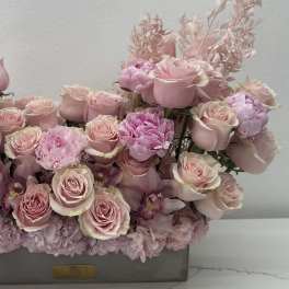 Lush Pink