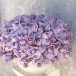 ocean song Roses