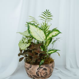 Ceramic Dish Garden 8in